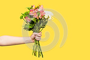 cropped shot of person holding beautiful bouquet of flowers isolated