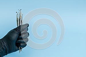 Cropped shot of professional dentist in black medical gloves with dental tools. Dental concept. Isolated on blue background