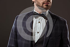 cropped shot of stylish man wearing suit and bow tie