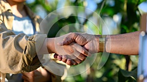 Cropped shot of two unrecognizable farmers shaking hands at the cornfield. Agreement and contract in agriculture