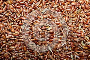 Cropped shot of uncoocked red rice background. Horizontal image of rice.