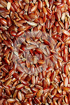 Cropped shot of uncoocked red rice background. Vertical image of rice.