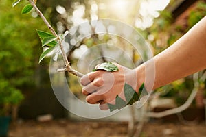 En camaradería naturaleza. recortado de no identificable joven hombre sacudida manos rama en su jardín 