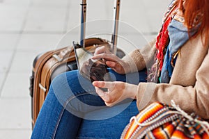 Cropped shot view of woman tourist holding gadget tablet with navigation application and planned route on the screen, female looki