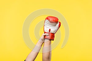 cropped shot of woman holding man hand in boxing glove isolated