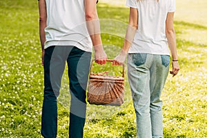 cropped shot of young couple holding picnic basket and walking