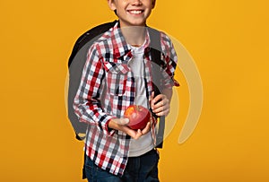 Cropped smart smiling caucasian teenage boy pupil with backpack holding red apple