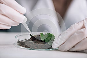 cropped view of biochemist holding pipette