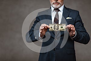 View of businessman holding dollar banknote on grey