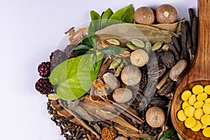 Cropped view in close up of herbal tablets with white background and dry herbs. herbal pills concept