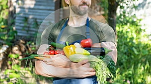 cropped view of farmer hold fresh ripe vegetables