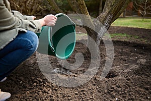 Cropped view of a female gardener watering a fruit tree from a metal bucket in the garden plot of her country house