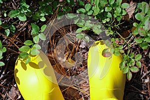 Cropped view of girl`s legs in yellow rain boots