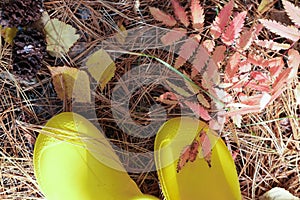 Cropped view of girl`s legs in yellow rain boots.