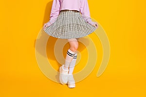 Cropped view of her she nice attractive fashionable slim fit feminine girl wearing checked skirt posing isolated on