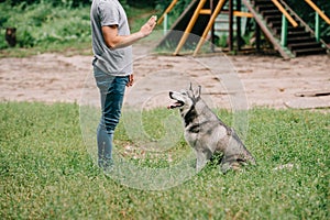 cropped view of man training command to sit