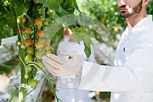 cropped view of quality inspector examining