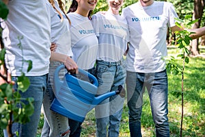 cropped view of volunteers with watering can and new trees in park