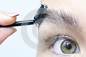 cropped view of woman holding eyebrow brush near eyebrow