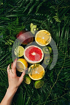 cropped view of woman touching fresh fruits