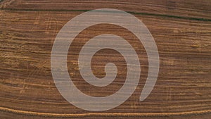 Cropped wheat field aerial drone shot