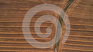 Cropped wheat field aerial drone shot