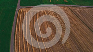 Cropped wheat field aerial drone shot