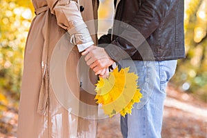 Cropped of woman holding bunch of golden leaves and man