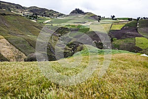 Crops of barley and colorful slopes near Zumbahua photo