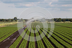 Crops being watered in the fens