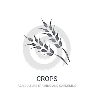 Crops icon. Trendy Crops logo concept on white background from A