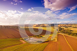 Crops on rural farmland, Australia