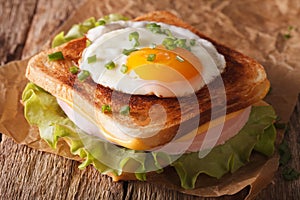 Croque Madame sandwich on a table close-up. horizontal