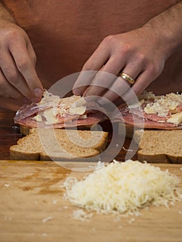 Croque Monsieur French Grilled Ham and Cheese Sandwich