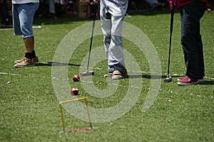 Croquet game.