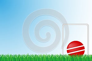 Croquet grass field vector illustration