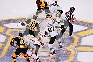 Crosby and Krejci face-off (NHL Hockey)
