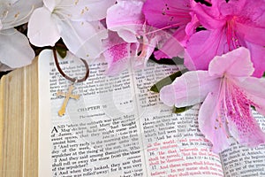 Cross and Bible, Mark 16 Easter background