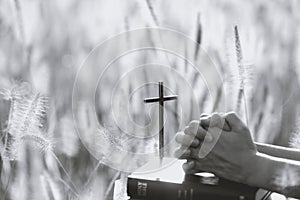 The cross, the bible, the praying hands, the reed, the barley field