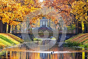 Cross bridge in Alexander park in autumn, Pushkin Tsarskoe Selo, St. Petersburg, Russia