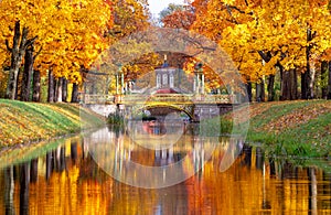 Cross bridge and Chinese bridges in Alexander park in autumn, Pushkin Tsarskoe Selo, St. Petersburg, Russia