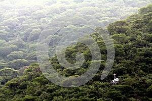 Cross on a Church in the Forest of Sierra Gorda photo