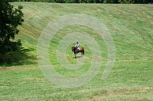 Cross country course horseback riding