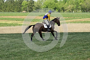 Cross Country Horse Race