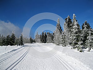 Cross country landscape