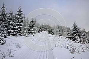 Cross country path