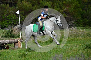 Cross country rider on eventing pony