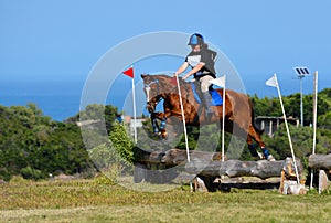 Cross country rider and horse