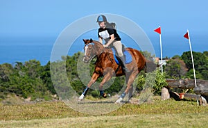 Cross country rider and horse