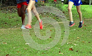 Cross Country Runners on green grass